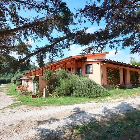 La Dimora Degli Etruschi Civitella Cesi Exterior foto