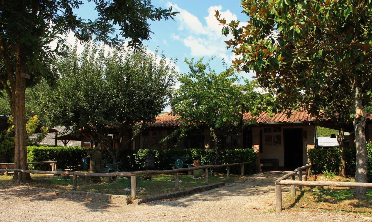 La Dimora Degli Etruschi Civitella Cesi Exterior foto