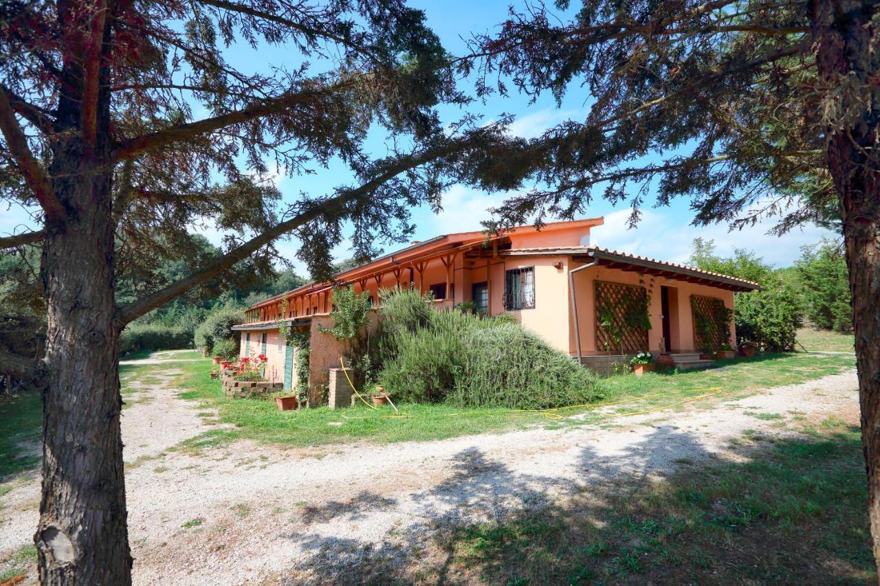 La Dimora Degli Etruschi Civitella Cesi Exterior foto