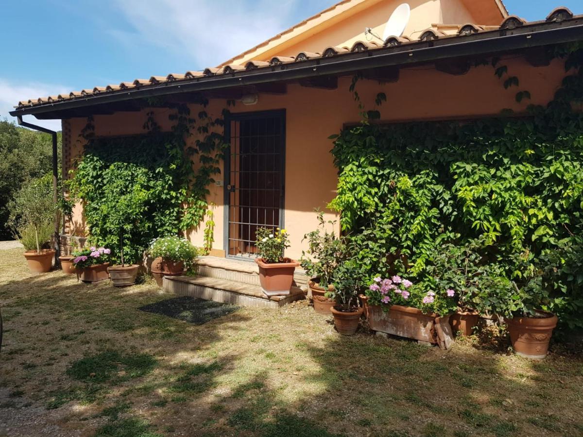 La Dimora Degli Etruschi Civitella Cesi Exterior foto
